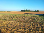à vendre Terrain constructible Soye En Septaine