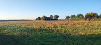 à vendre Terrain constructible Soye En Septaine