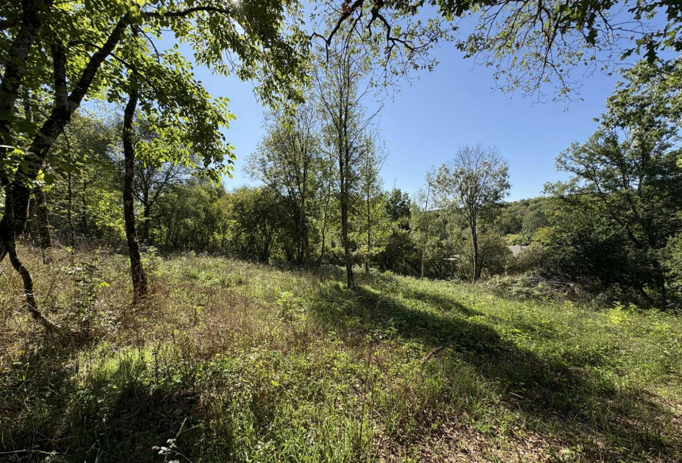 vente Terrain constructible Le Menoux - Photo 2