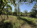 à vendre Terrain constructible Le Menoux