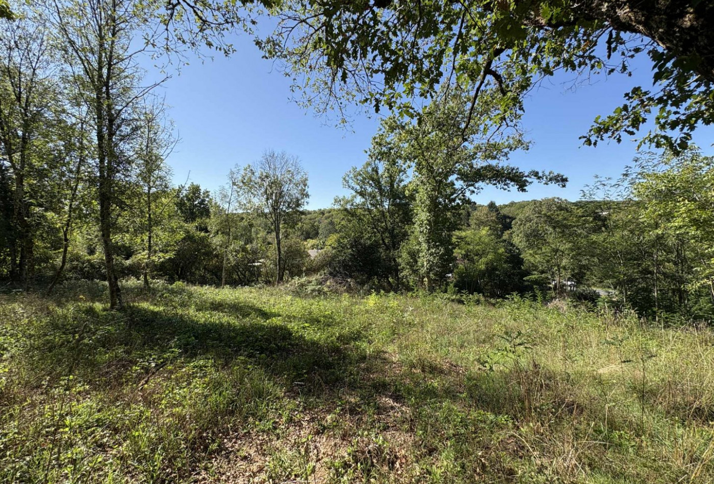 vente Terrain constructible Le Menoux - Photo 1