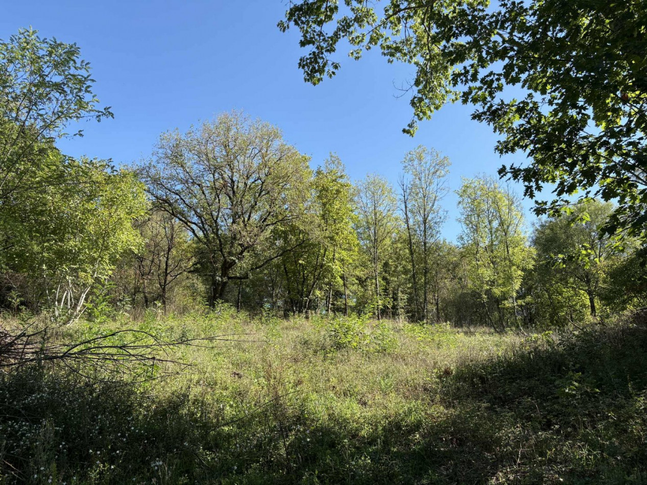 à vendre Terrain constructible Argenton Sur Creuse - Photo 2