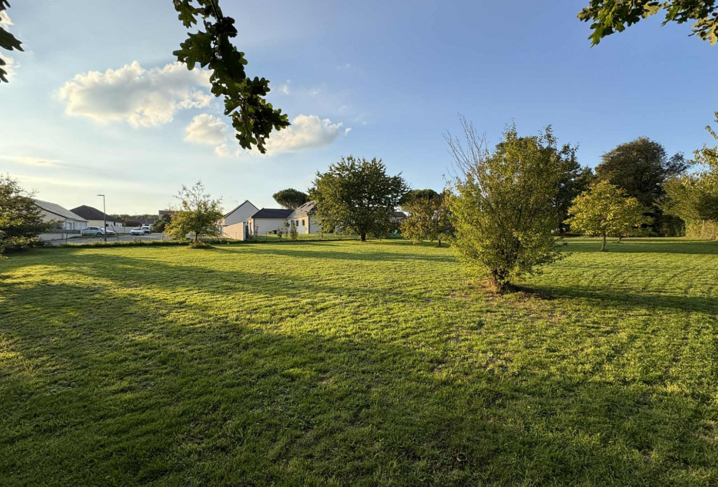 vente Terrain diffus (hors lotissement) Le Poinconnet - Photo 6