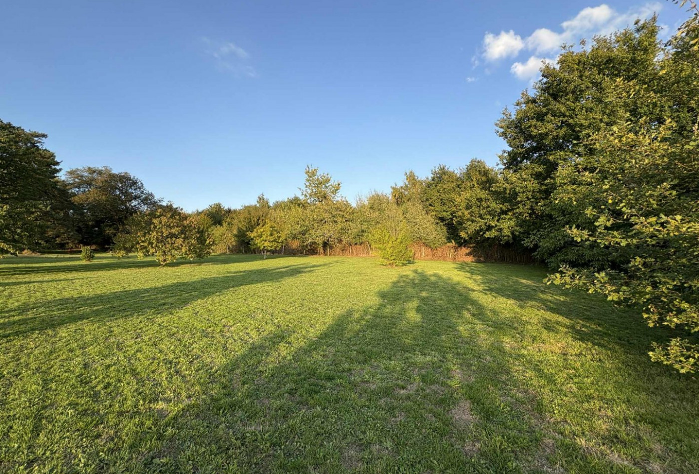 vente Terrain diffus (hors lotissement) Le Poinconnet - Photo 6