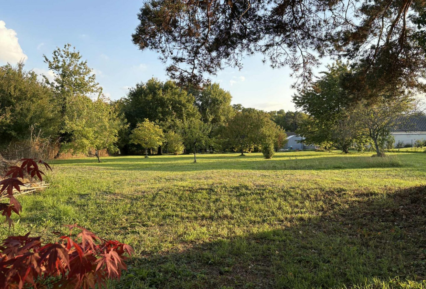 vente Terrain diffus (hors lotissement) Le Poinconnet - Photo 5