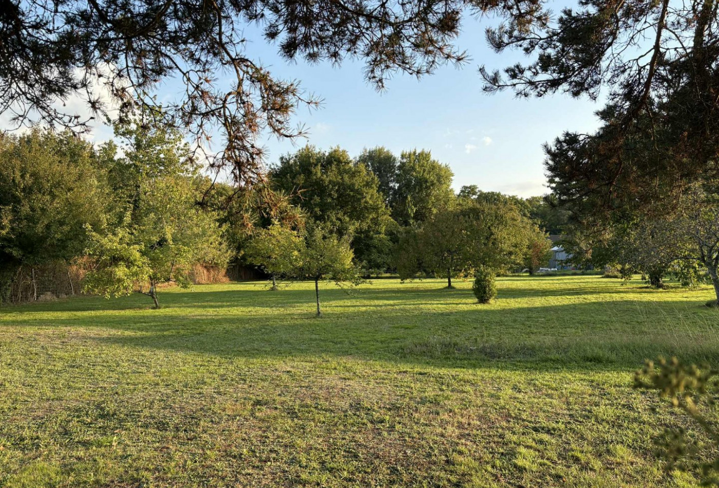 vente Terrain diffus (hors lotissement) Le Poinconnet - Photo 3