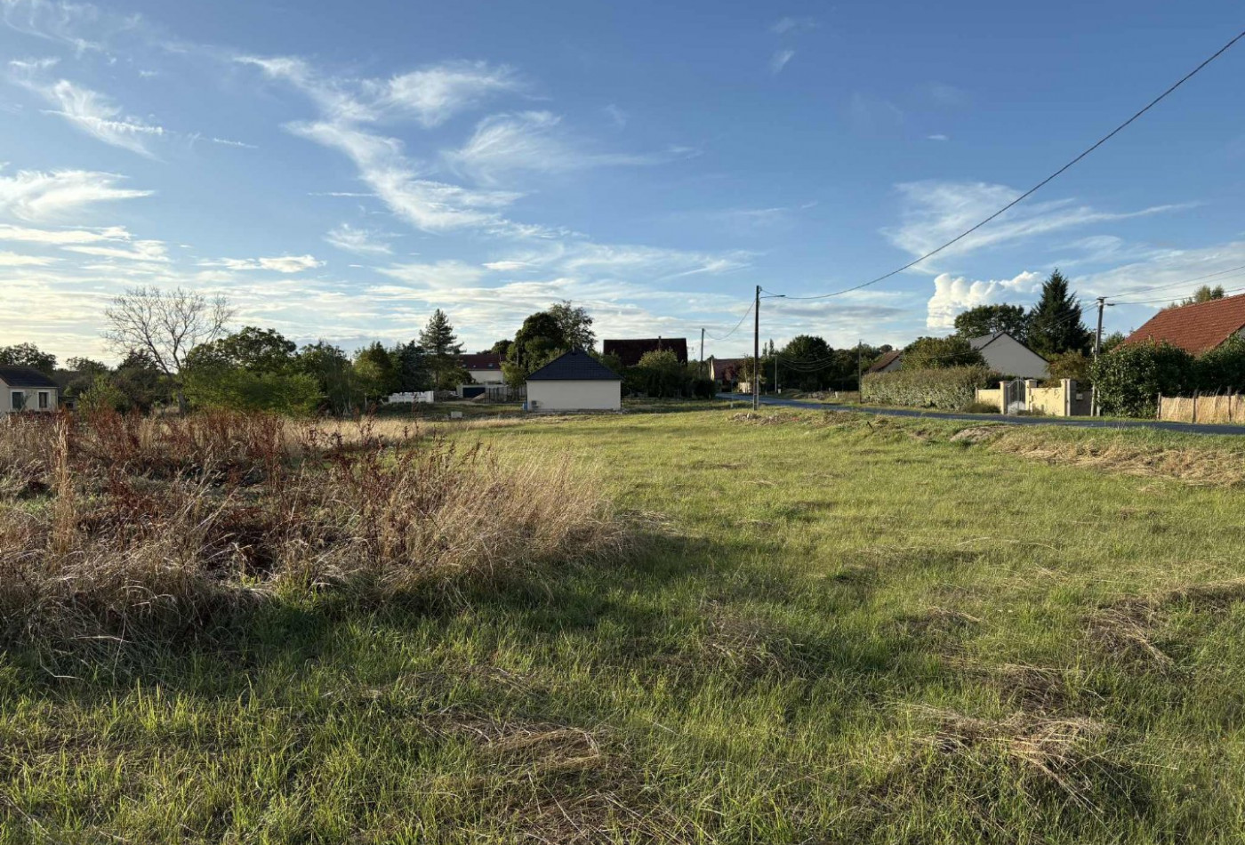 vente Terrain diffus (hors lotissement) Mehun Sur Yevre - Photo 3