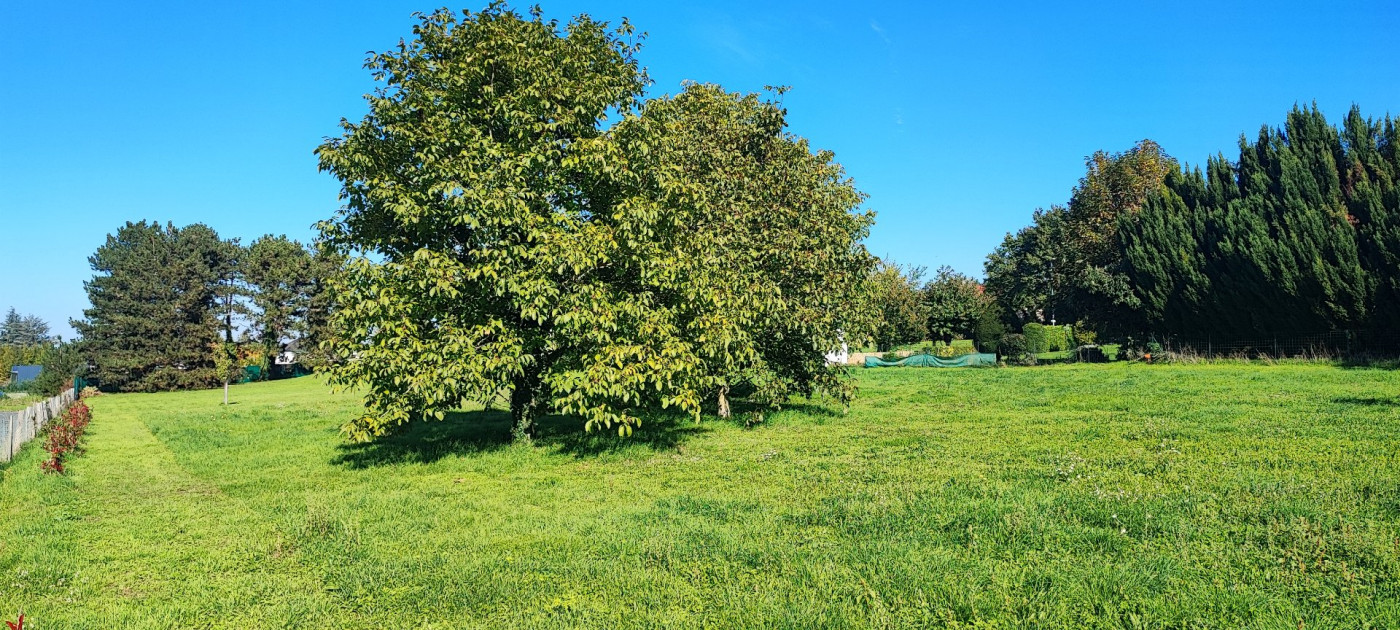 à vendre Terrain constructible La Chatre - Photo 3