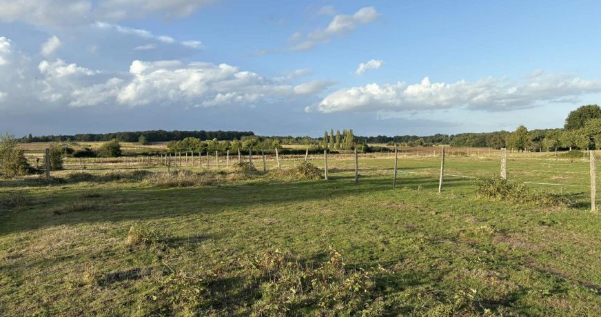 vente Terrain diffus (hors lotissement) Valencay