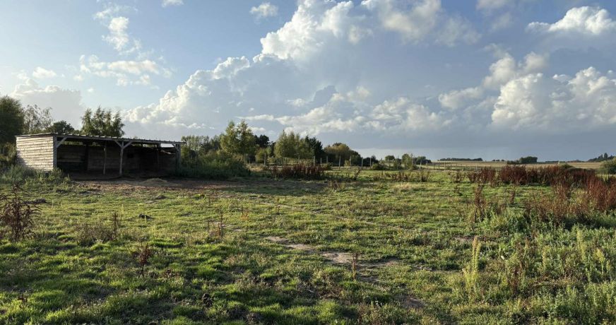 vente Terrain diffus (hors lotissement) Valencay