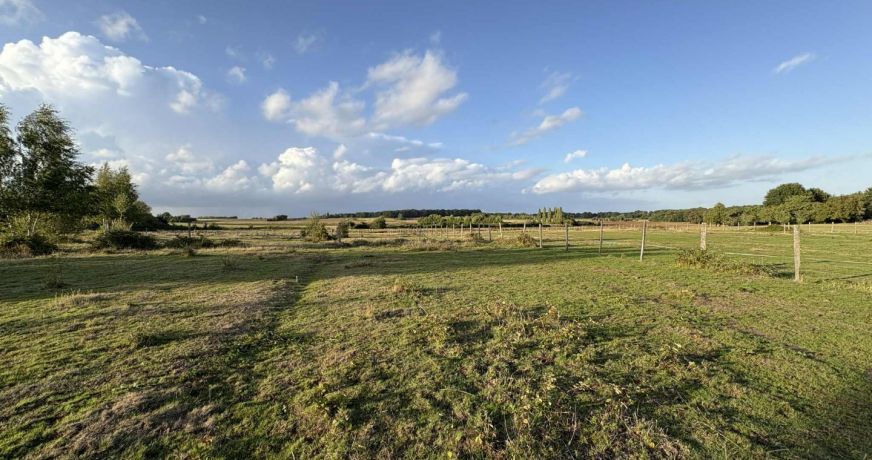 vente Terrain diffus (hors lotissement) Valencay