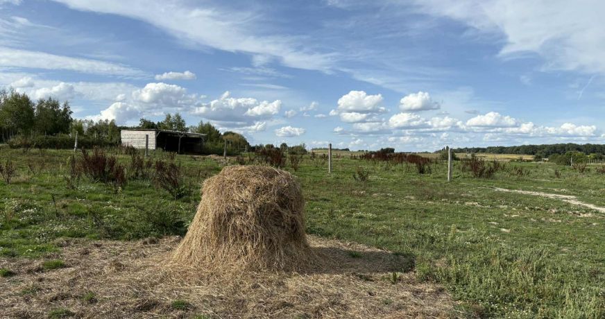 vente Terrain diffus (hors lotissement) Valencay