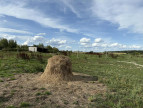 à vendre Terrain diffus (hors lotissement) Valencay