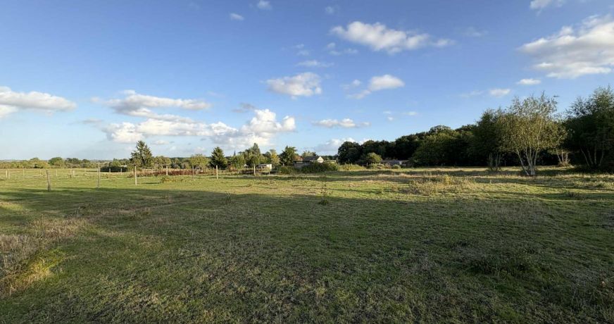vente Terrain diffus (hors lotissement) Valencay