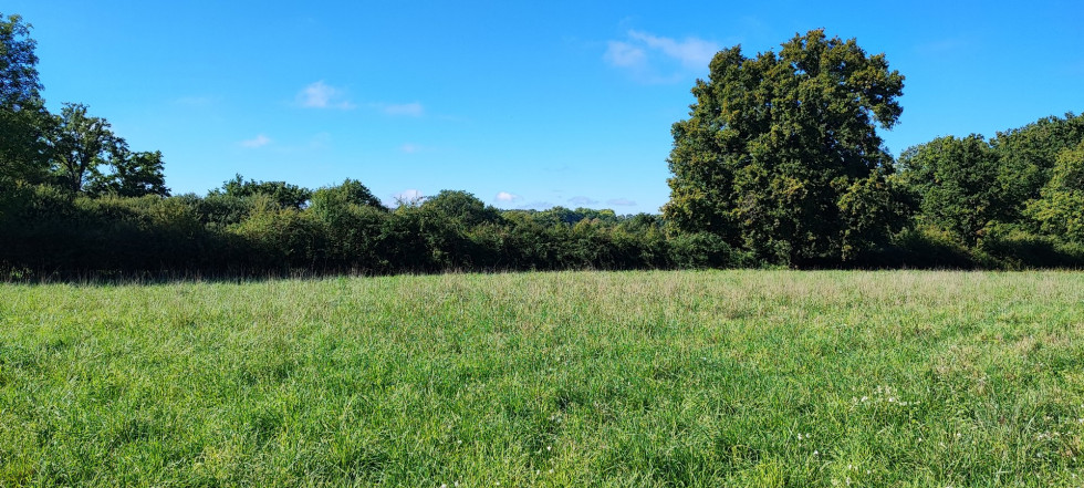 vente Terrain constructible Le Chatelet - Photo 3