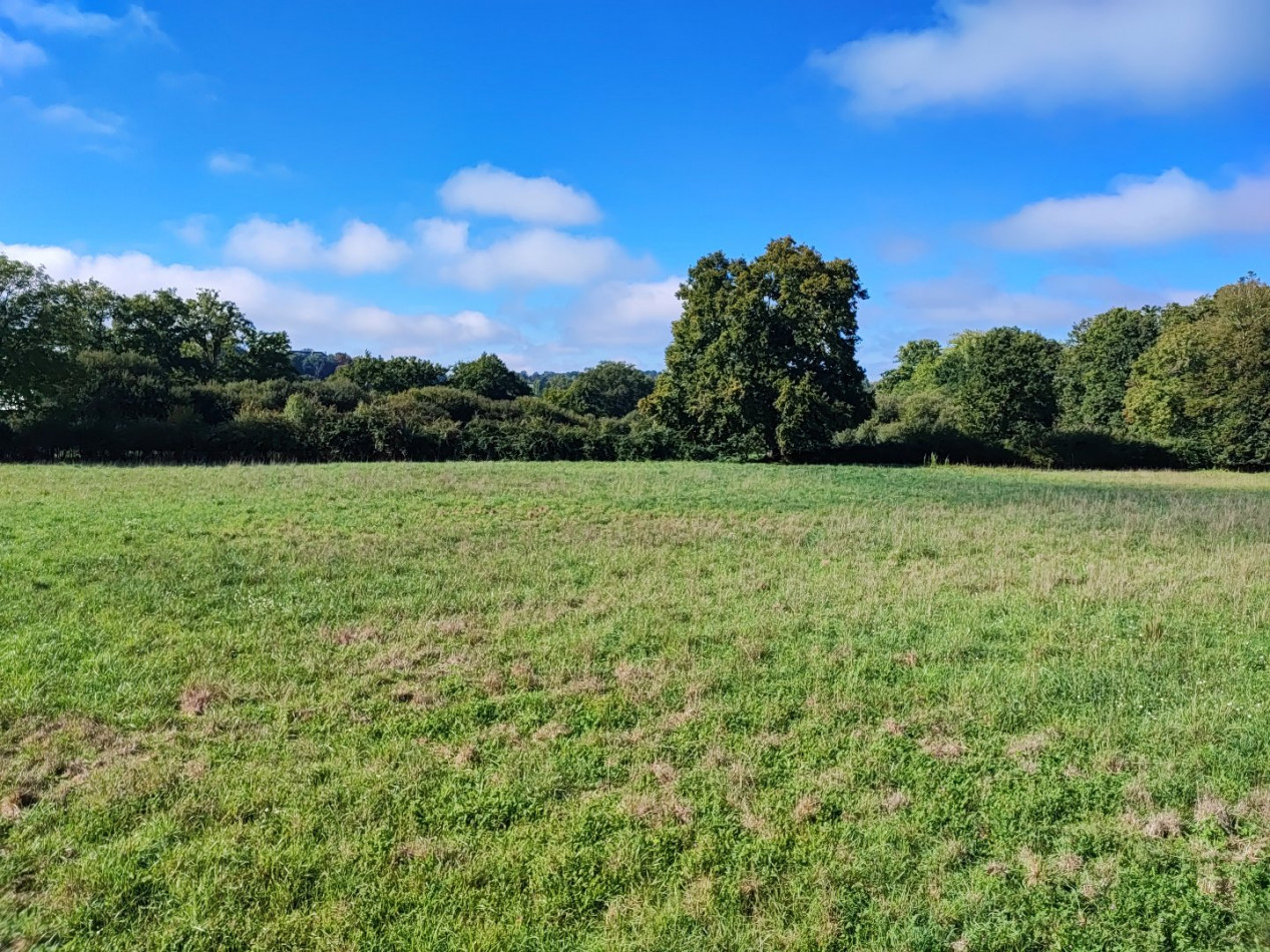 à vendre Terrain constructible Le Chatelet - Photo 5