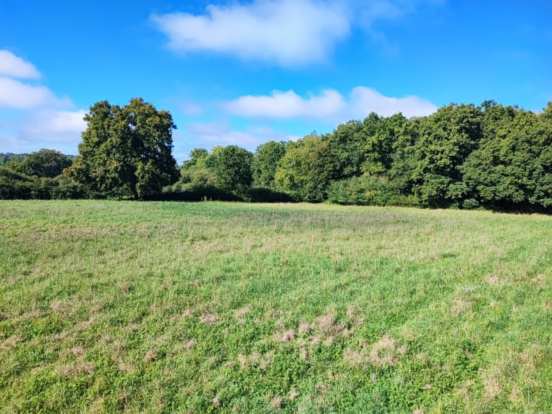 vente Terrain constructible Le Chatelet - Photo 4