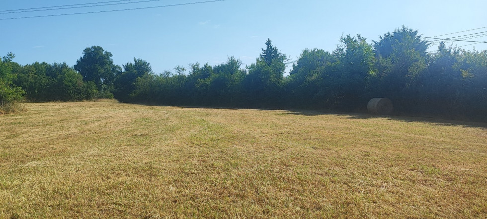 vente Terrain constructible Ineuil - Photo 3