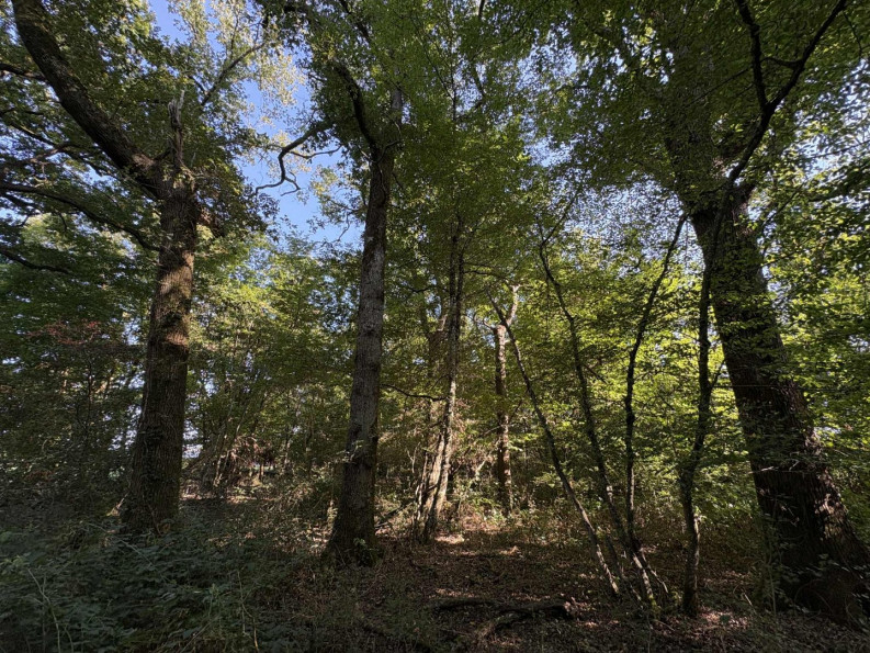 vente Terrain agricole Neuillay Les Bois - Photo 3