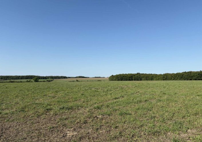 à vendre Terrain agricole Neuillay Les Bois