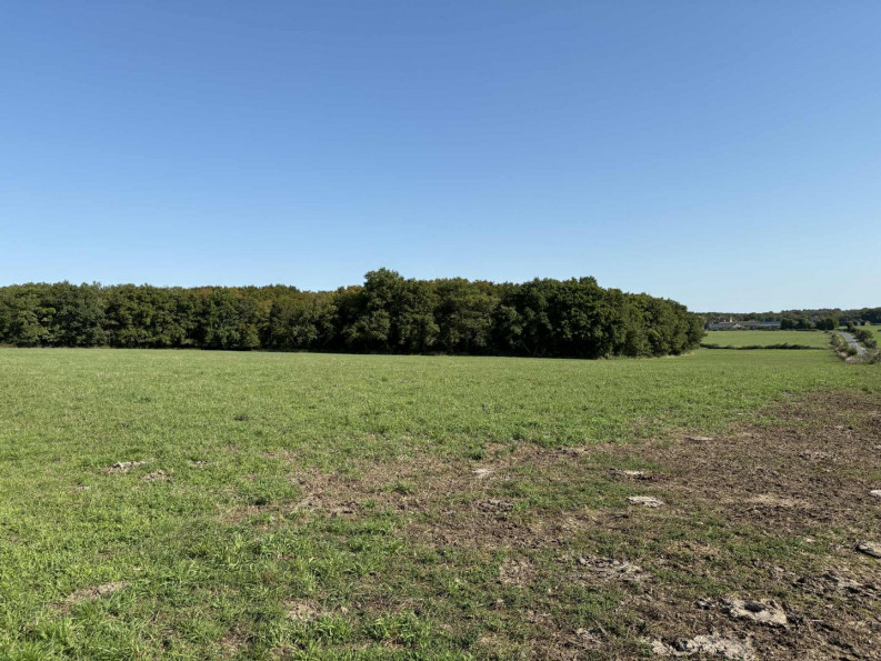 vente Terrain agricole Neuillay Les Bois - Photo 2