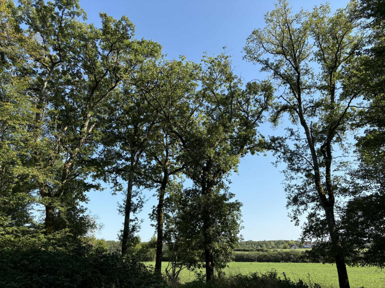 à vendre Terrain agricole Neuillay Les Bois - Photo 6