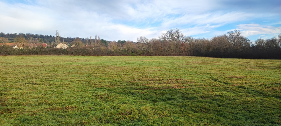 vente Terrain agricole Saint Amand Montrond - Photo 4