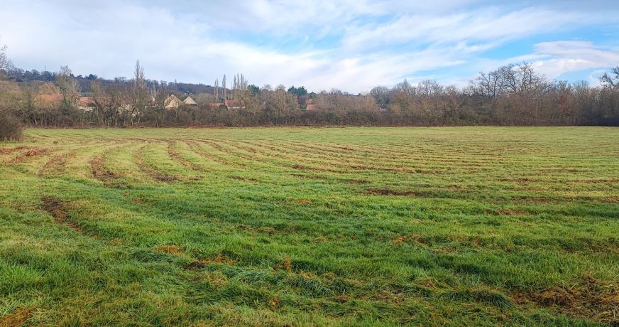 vente Terrain agricole Saint Amand Montrond