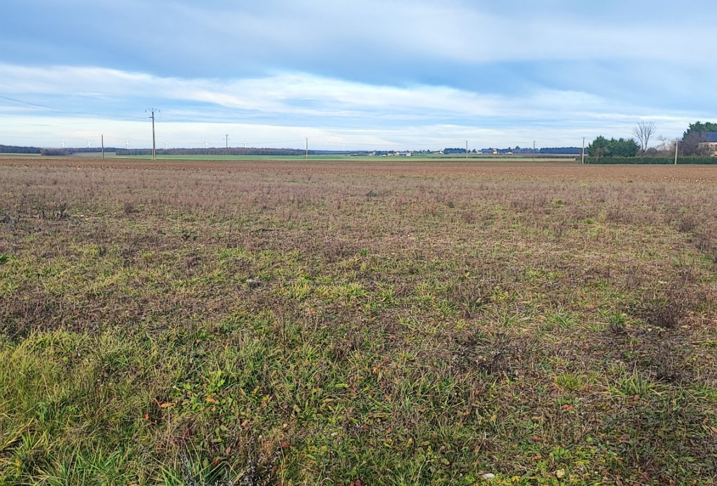 vente Terrain constructible Arcay - Photo 3
