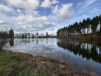 à vendre Etang Crevant