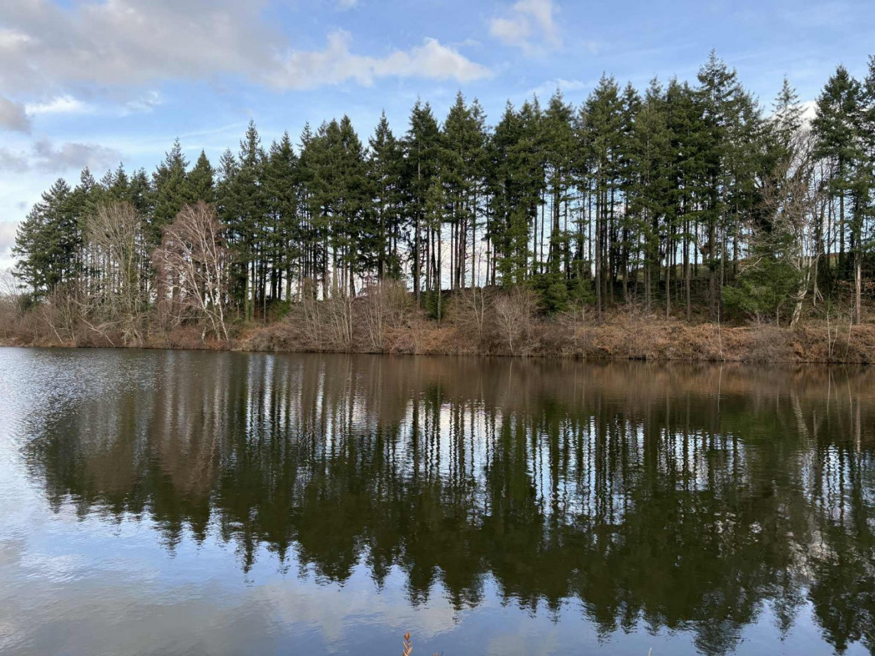 à vendre Etang Crevant - Photo 7