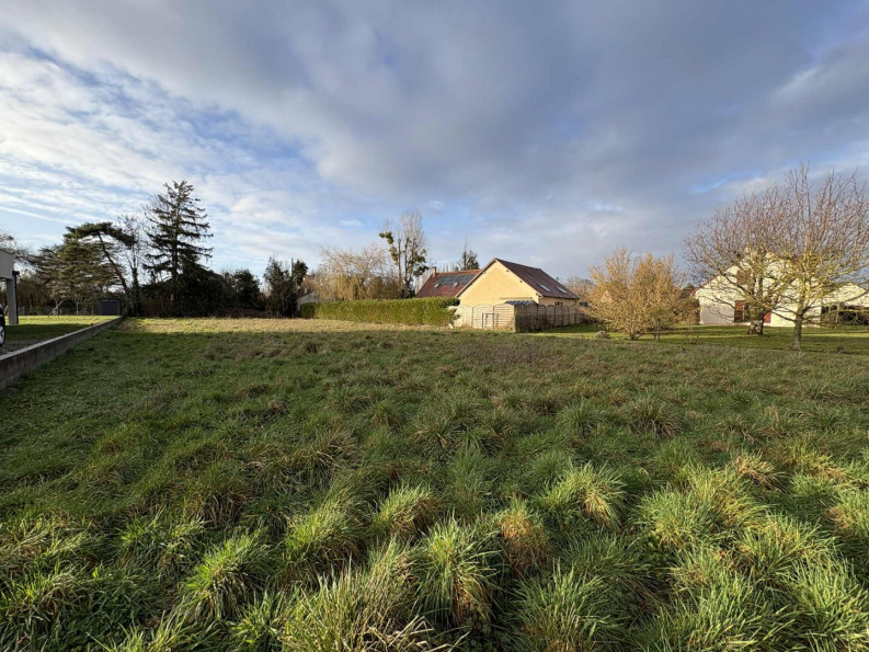 vente Terrain diffus (hors lotissement) Le Poinconnet - Photo 5