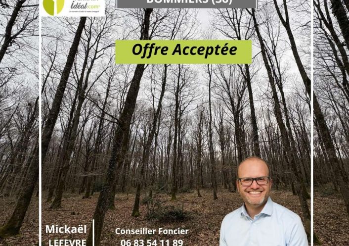 à vendre Terrain boisé – forêt Ardentes