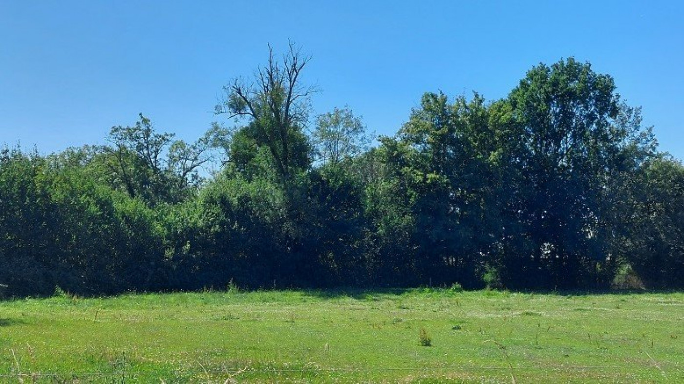 à vendre Terrain diffus (hors lotissement) Montipouret - Photo 2