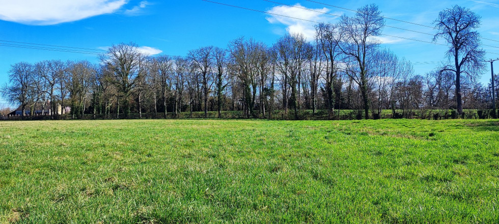 vente Terrain agricole Saint Amand Montrond - Photo 1