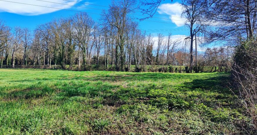 vente Terrain agricole Saint Amand Montrond