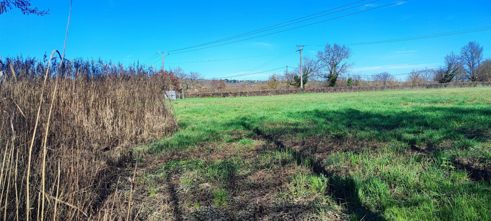 vente Terrain agricole Saint Amand Montrond - Photo 7