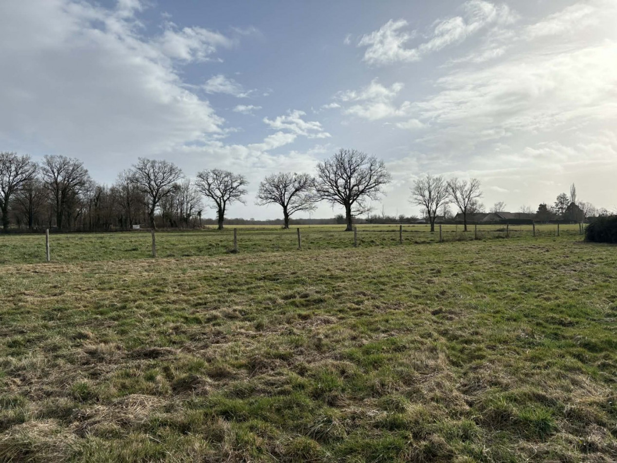 à vendre Terrain agricole Tendu - Photo 7