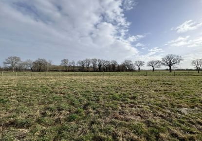 vente Terrain agricole Tendu