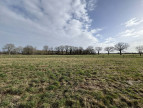 à vendre Terrain agricole Tendu