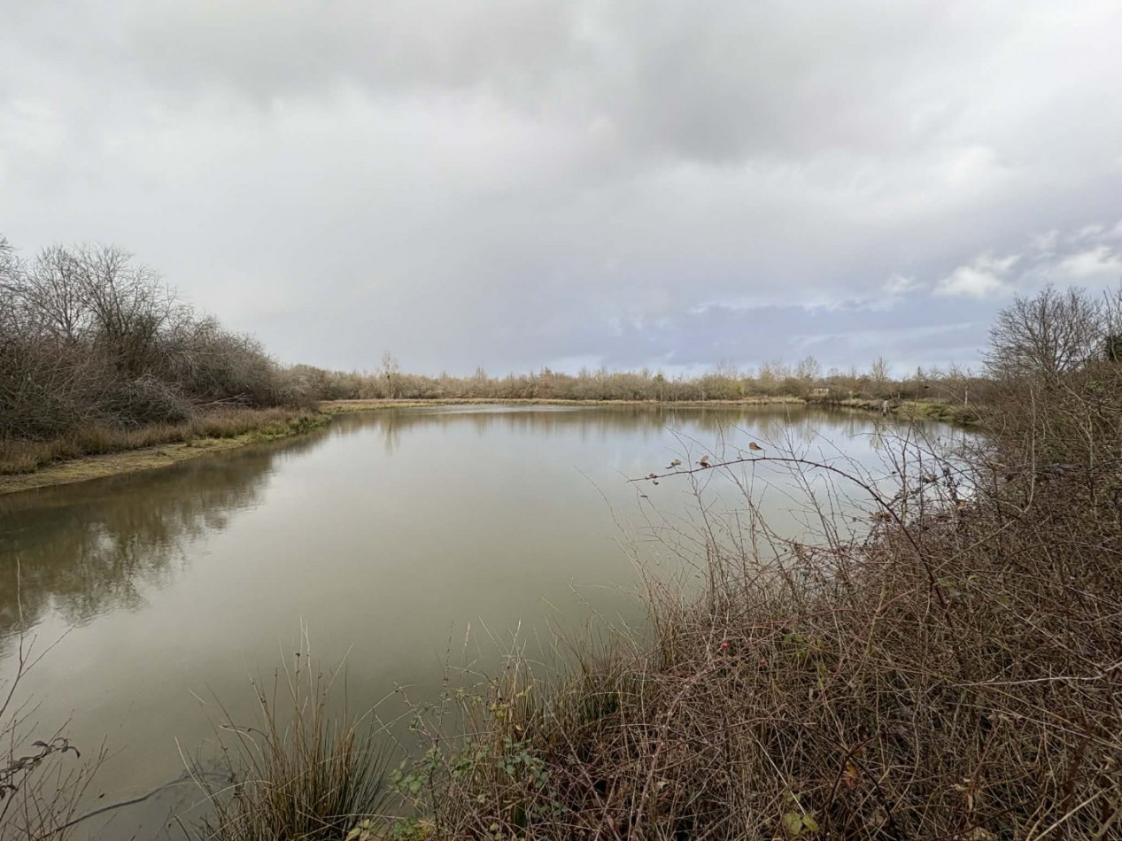 à vendre Etang Tendu - Photo 8