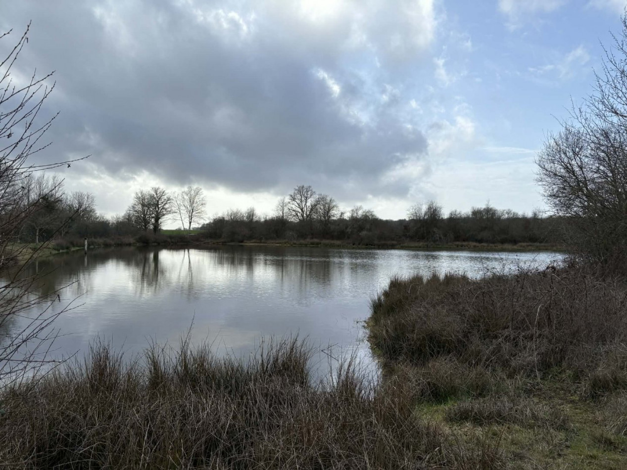 à vendre Etang Tendu - Photo 6