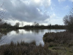 vente Etang Tendu