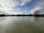 à vendre Etang Tendu