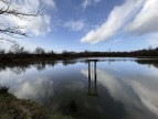 vente Etang Tendu