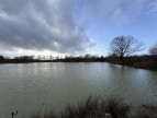 à vendre Etang Tendu