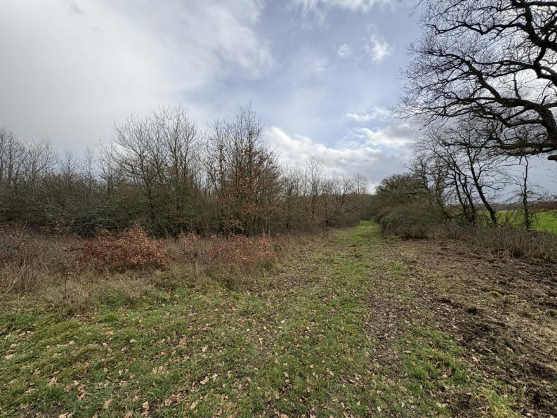 vente Etang Tendu - Photo 7