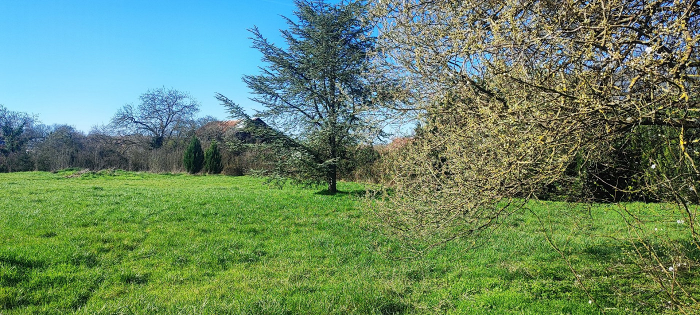 à vendre Terrain constructible Baugy - Photo 2