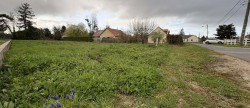vente Terrain diffus (hors lotissement) Le Poinconnet
