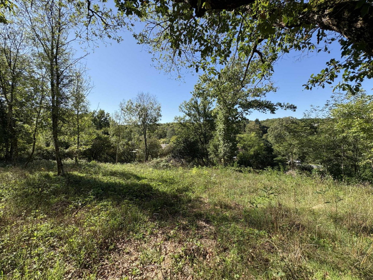 à vendre Terrain diffus (hors lotissement) Le Menoux - Photo 3